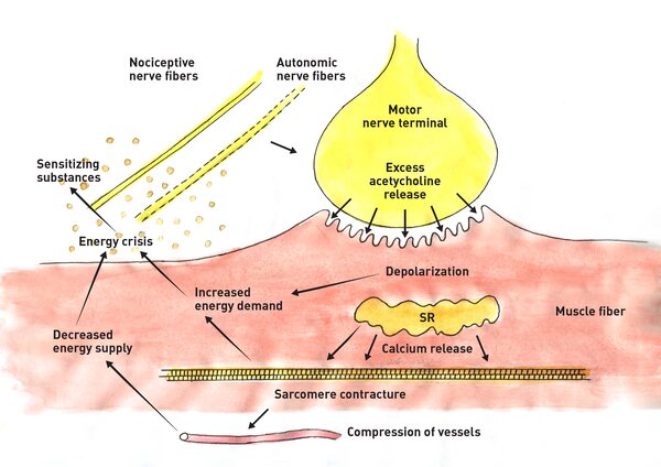 Integrated Hypothesis